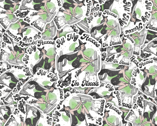 All My Hexes Live in Texas Vinyl Sticker