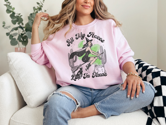 All My Hexes Live in Texas Sweatshirt